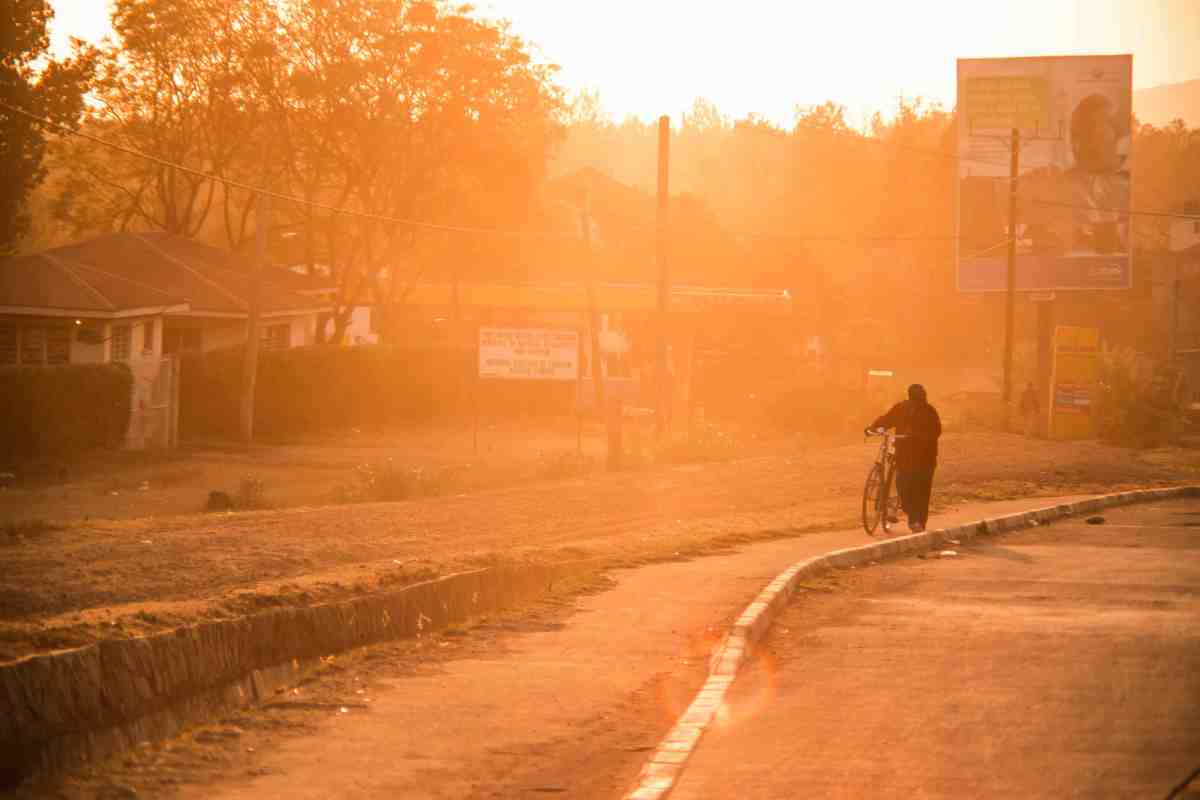 Best Time To Visit Tanzania The Aura Of Africa